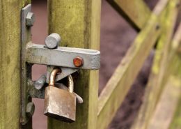 Avid Communications: Next Generation Firewall