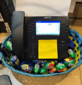 Johnston Fiss Insurance: Bunny's Phone