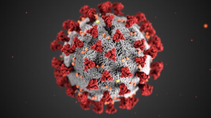 Mitigating coronavirus disruptions--an Avid Guidebook
