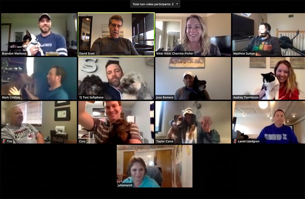 Avid's First Virtual Happy Hour - Pets