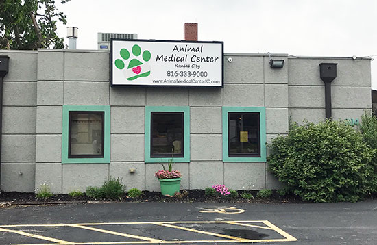 Client Success Story: Animal Medical Center of Kansas City - Avid  Communications