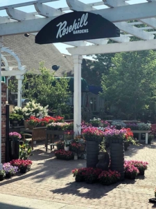Avid Communications: Rosehill Gardens