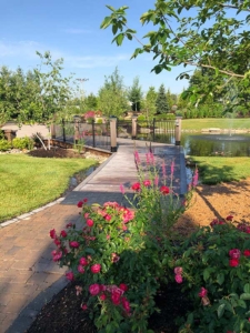Avid Communications: Rosehill Gardens