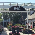Avid Communications: Rosehill Gardens