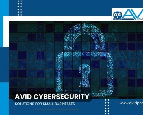 Avid Cybersecurity Services